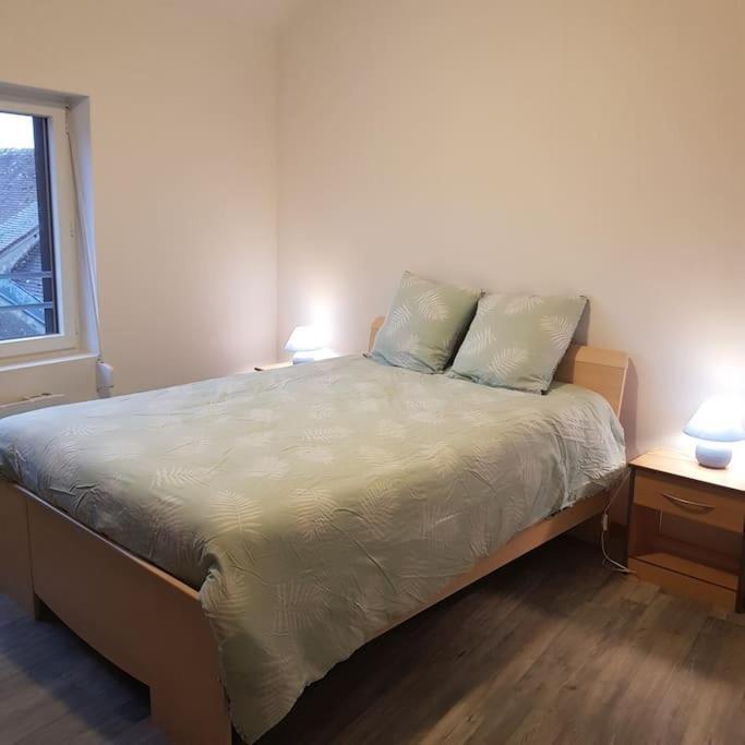 فيلا Chez Nino Wifi Gratuit Beaulieu-sur-Loire المظهر الخارجي الصورة